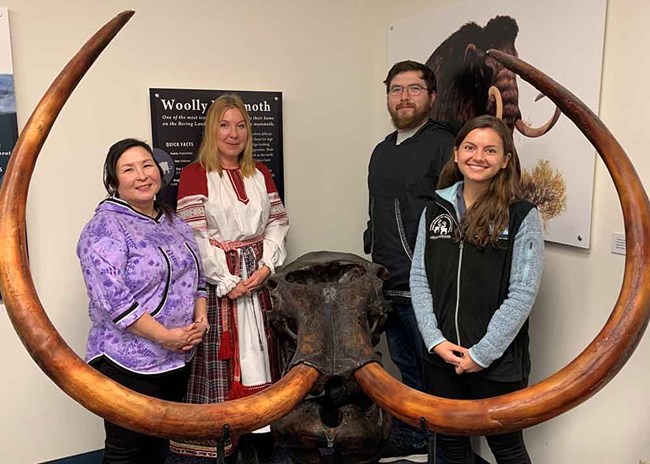 Beringia_team_web Four people stand by a mammoth fossil.