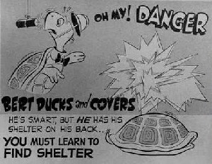 Bert the Turtle Bert the Turtle PSA