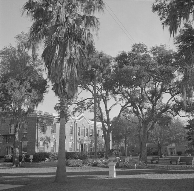 Exterior of a building surrounded by palm trees