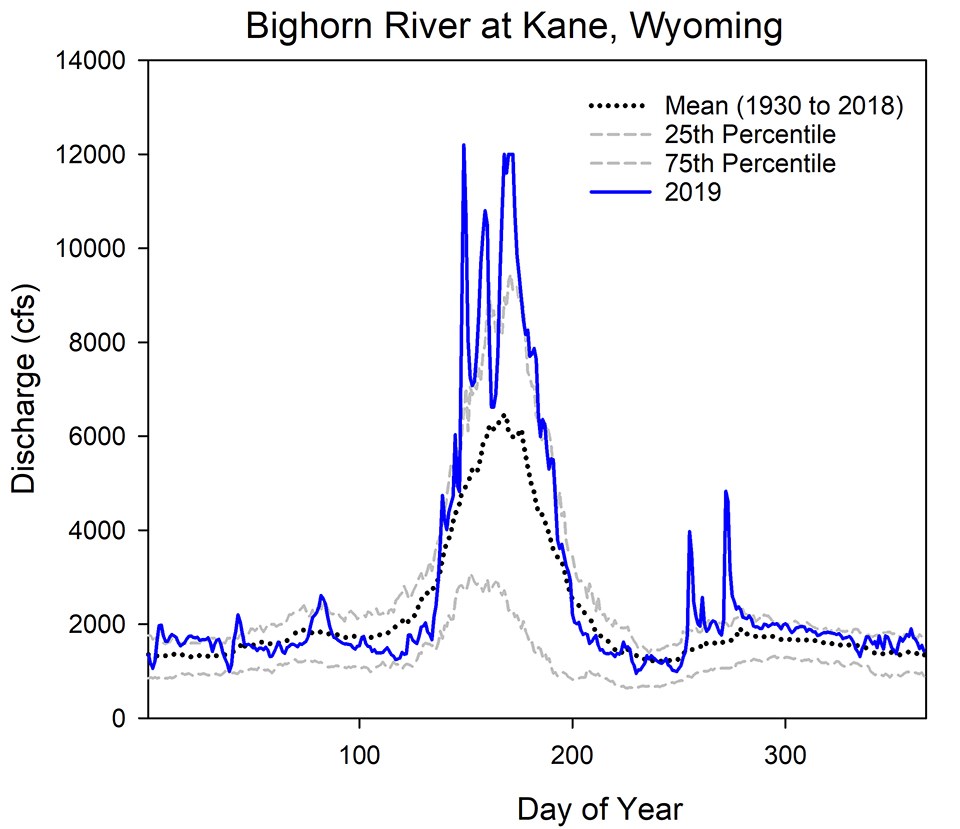 Line graph of daily discharge for the Bighorn River at Kane in 2019 with 25th and 75th percentiles and long-term mean daily flows.