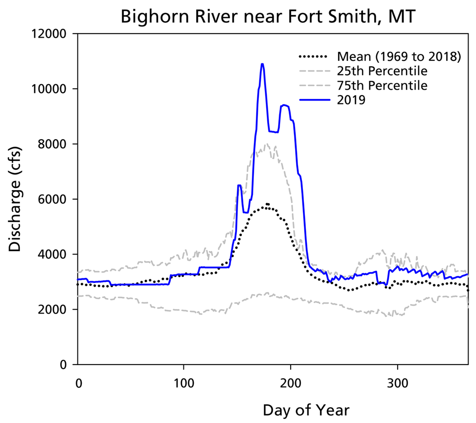 line graph of daily discharge on the Bighorn River