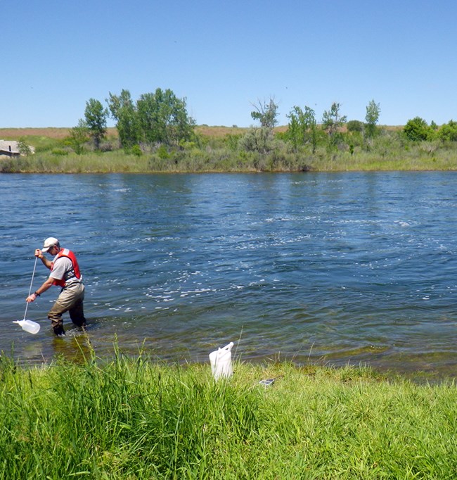 A scientist standing in a river collecting water in a container attached to a pole