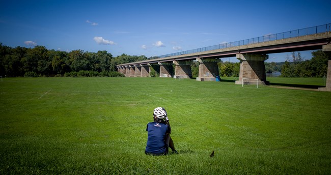 Biker Sitting in a Field of Grass