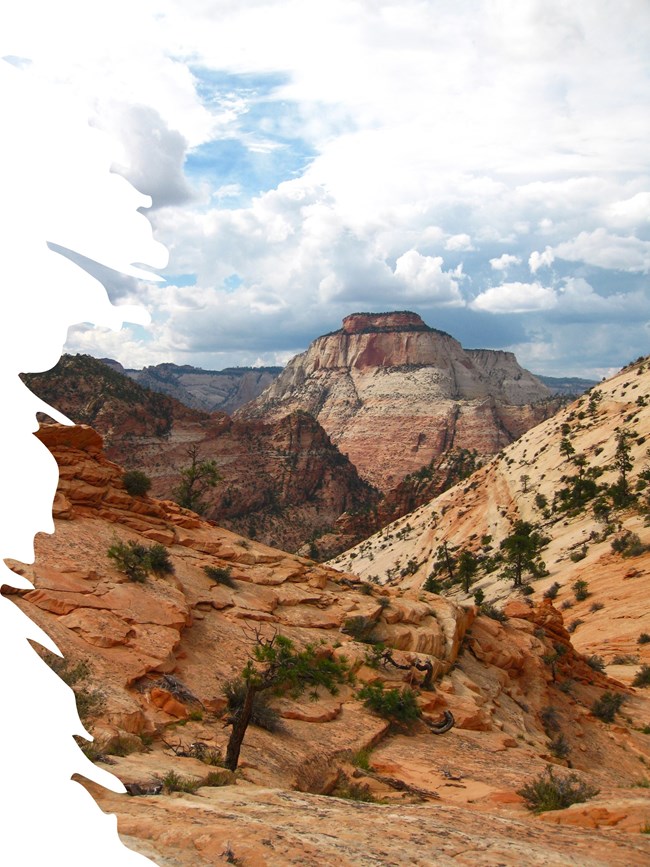 red sandstone cliffs and mountainous terrain with sparse desert vegetation