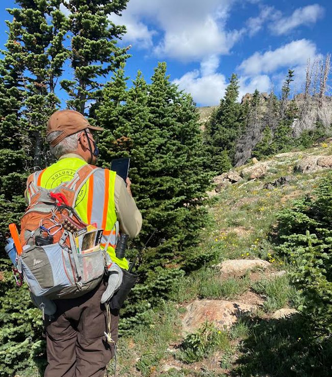 Man with backpack looks at the screen of an electronic device as he faces uphill on a steep, rocky slope with evergreen trees and green plants under a blue sky.
