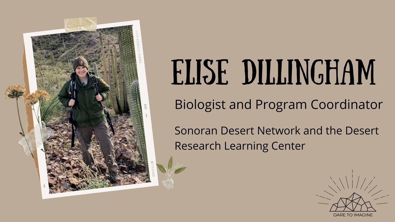 Bio Graphic a graphic with a photo of a woman wearing a backpack. Text reads: Elise Dillingham Biologist and Program Coordinator