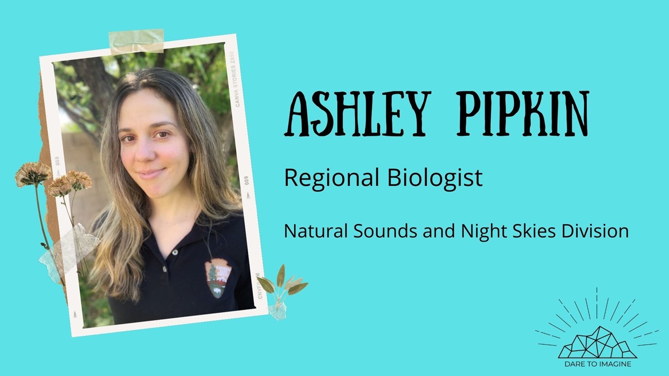 Graphic of a young woman text reads Ashley Pipkin Regional biologist