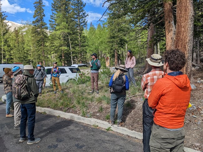 About a dozen people gather in a parking lot near a conifer forest and listen to instructions from a person in a field vest, about how to collect forest health data.