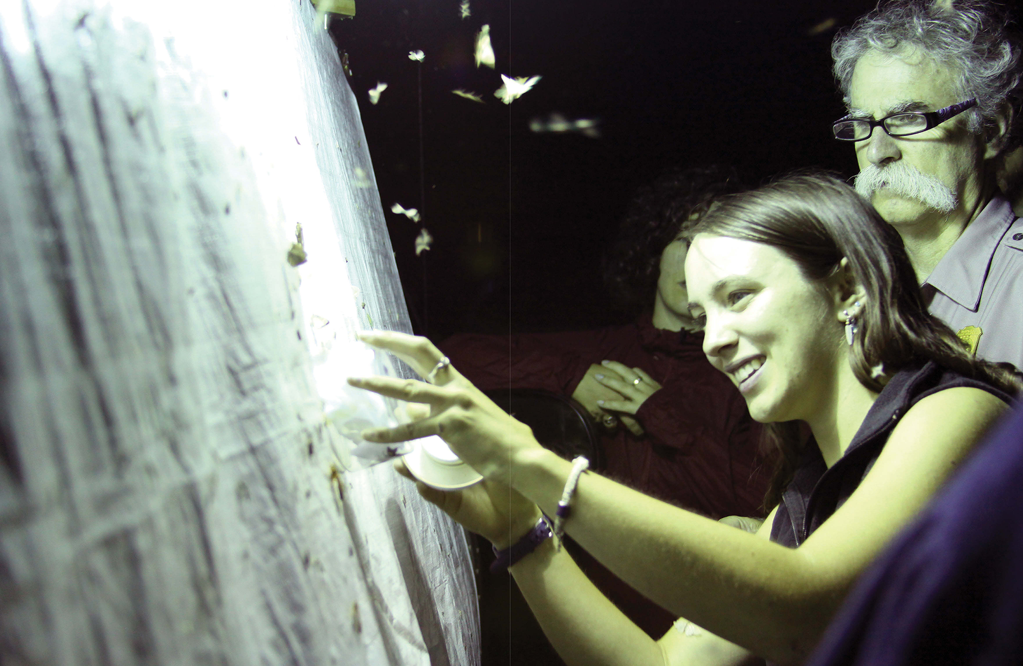 A young woman gathers flying insects from a white sheet that is backlit at night while a park resource manager looks on.