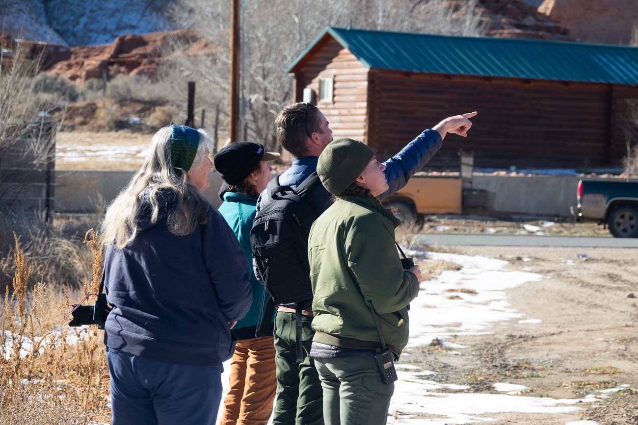 Birding a group of people watch and point to birds