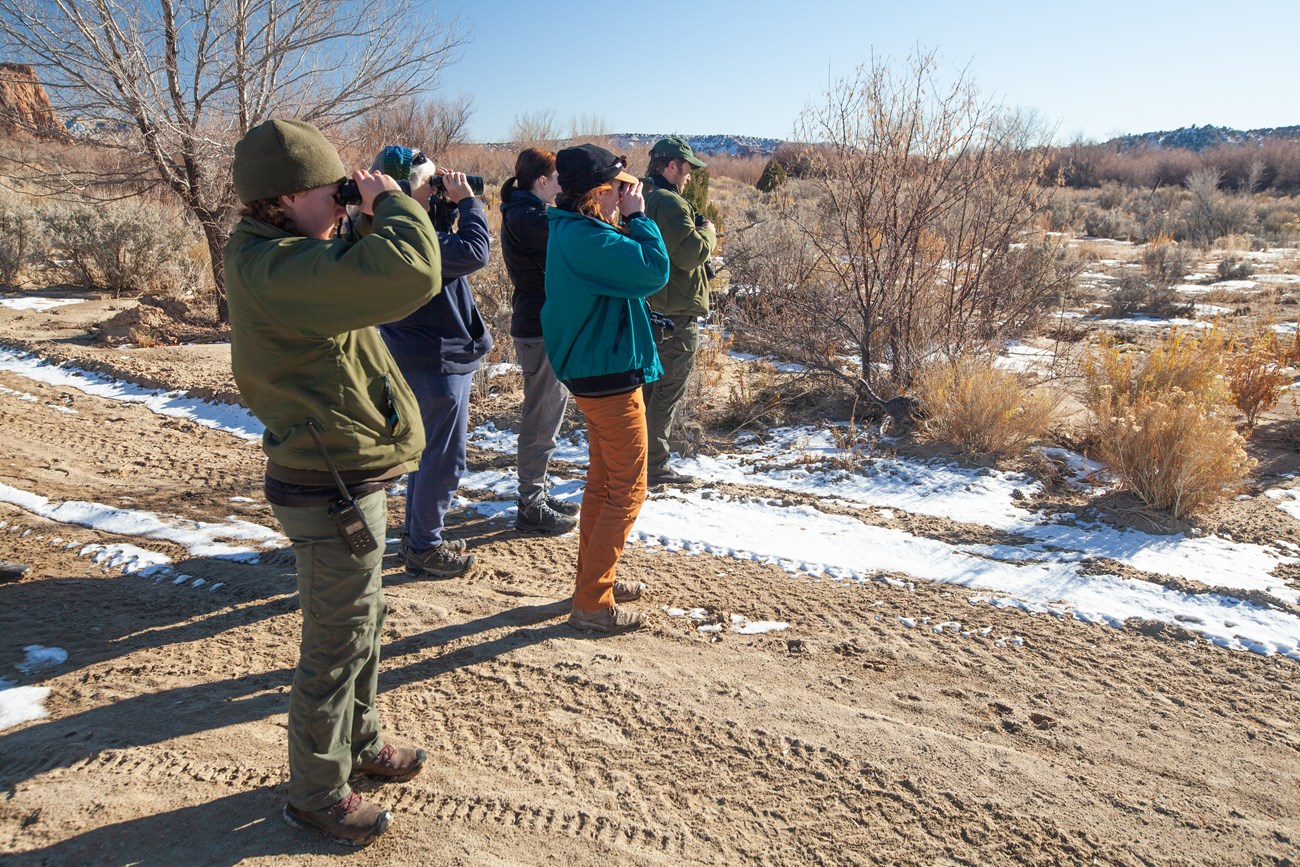 Birding near Cannonville NPS a group of people use binoculars to birdwatch in the winter