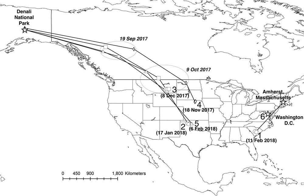 A map of North America showing migration routes.