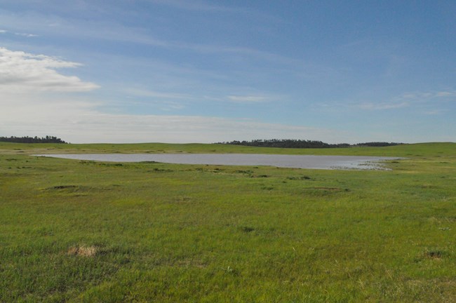 a shallow pond in the middle of a green prairie with hills covered with trees in the distance