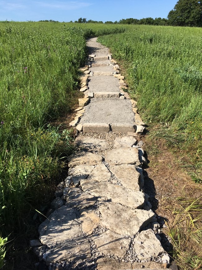 lt= A rocked trail that runs through green grass.