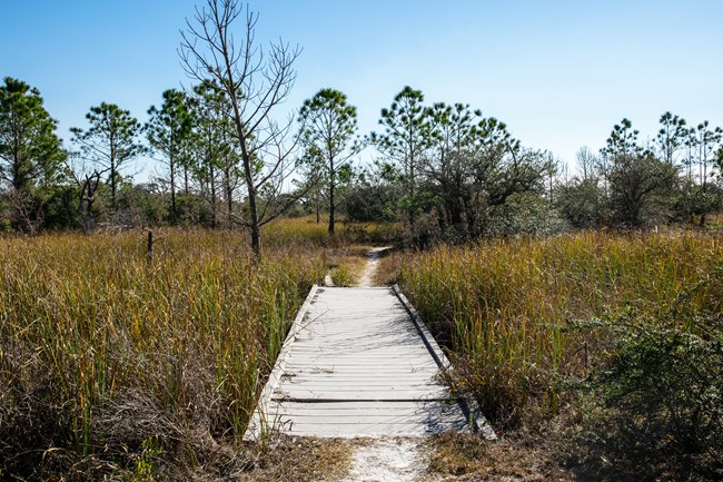 lt= A wooden boardwalk cuts through wetland grass and trails into the distance.
