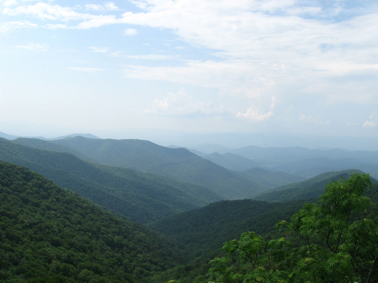 Large landscape view of rolling mountains--green and tree-covered in foreground, blue and misty in background