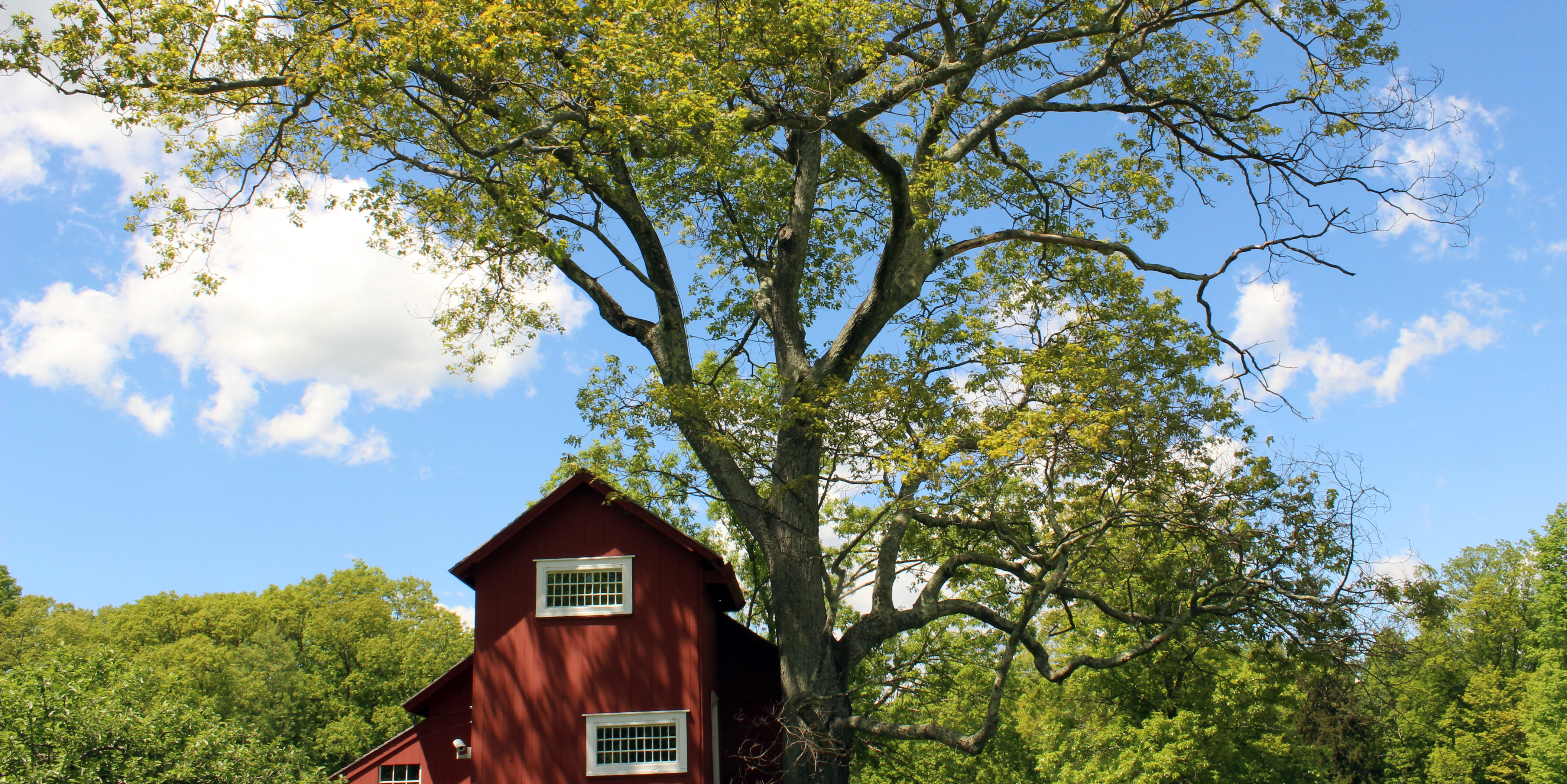 Blue skies and green trees next to a red building.