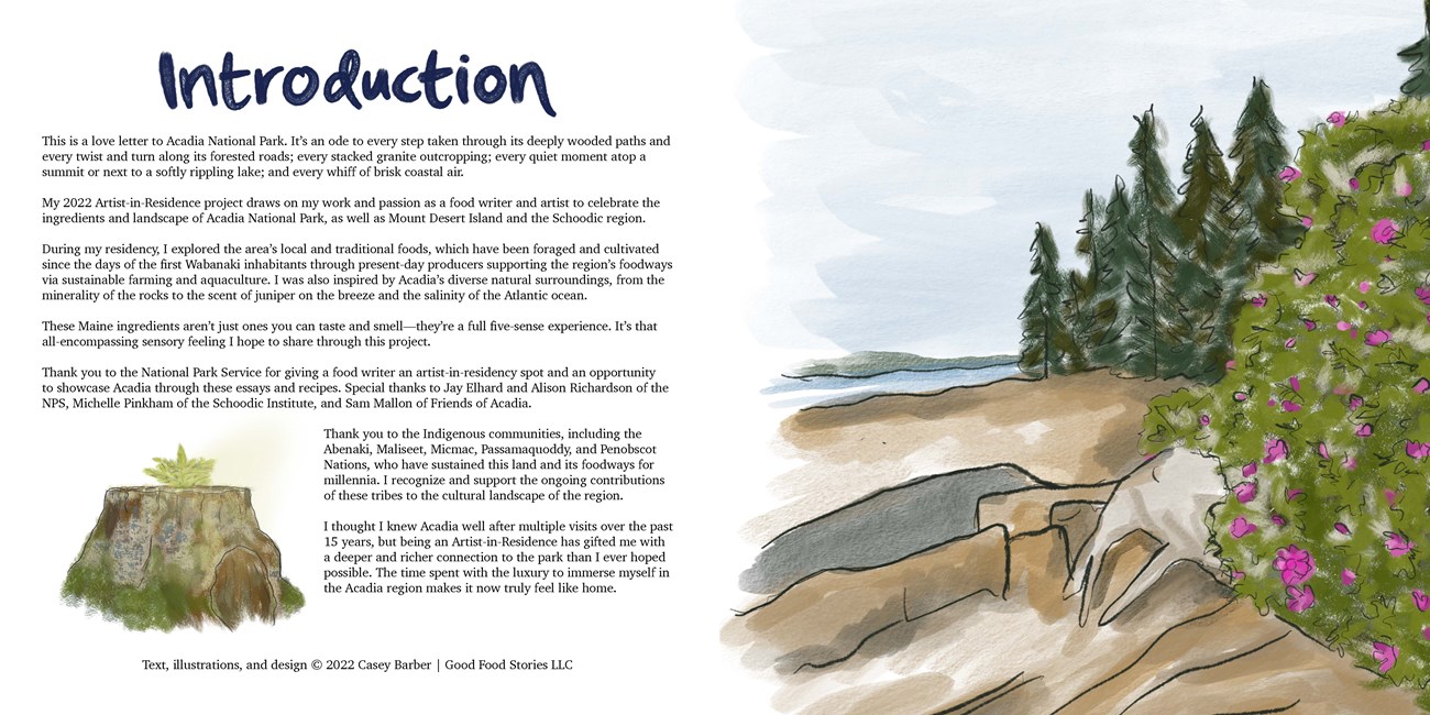 Image of an inside book spread. The left page has a small illustration of a tree stump with a fern growing out of the top. The right page is an illustration of ocean coastline with pine trees and flowering shrubs.