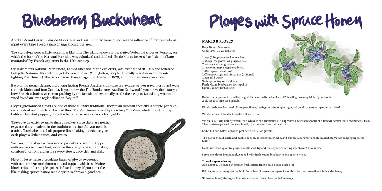 Image of a book spread. The bottom of the left page has an illustration of a cast iron griddle with ployes cooking inside. The right page has illustrations of three blueberry branches with ripe berries attached.