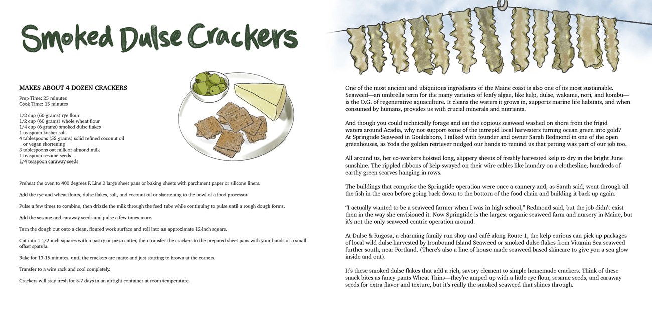 Image of a book spread. The left page has an illustration of a plate with a wedge of cheese with crackers and a small bowl of olives. The right page has an illustration of 12 pieces of seaweed hanging from a line suspended from a hook.