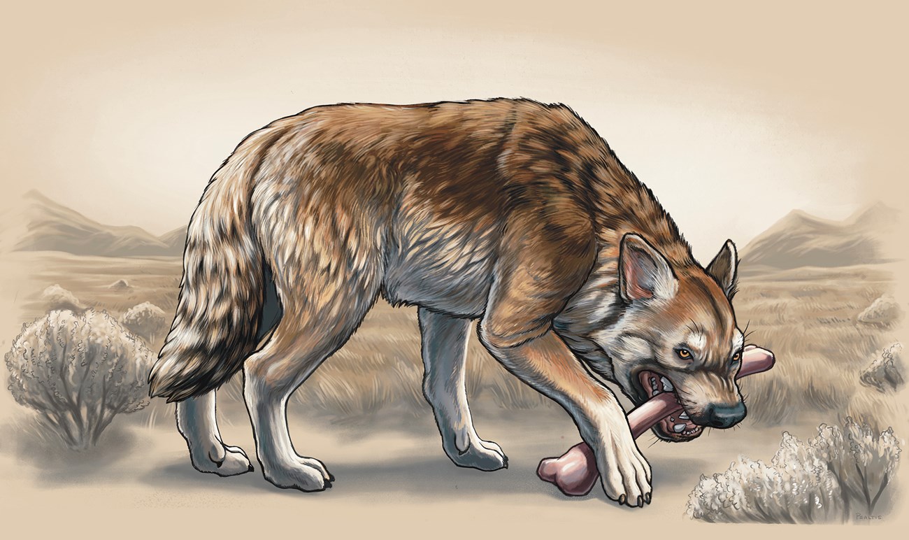 Illustration of a hyena-like creature gnawing on a bone.