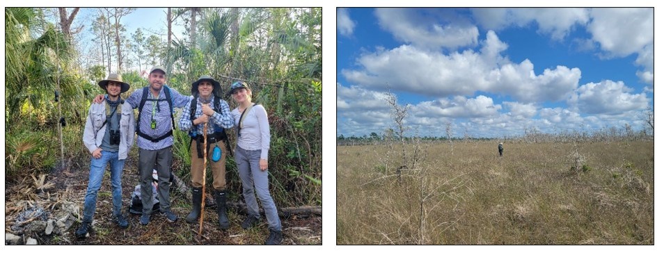 Left- Four botanists posing for a photo with dense, green vegetation behind them. Right- One botanist conducting plant surveys under a blue sky with puffy while clouds.