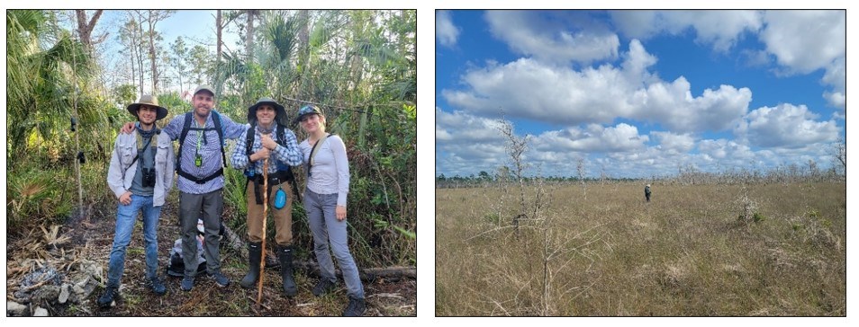 Science! Left- Four botanists posing for a photo with dense, green vegetation behind them. Right- One botanist conducting plant surveys under a blue sky with puffy while clouds.