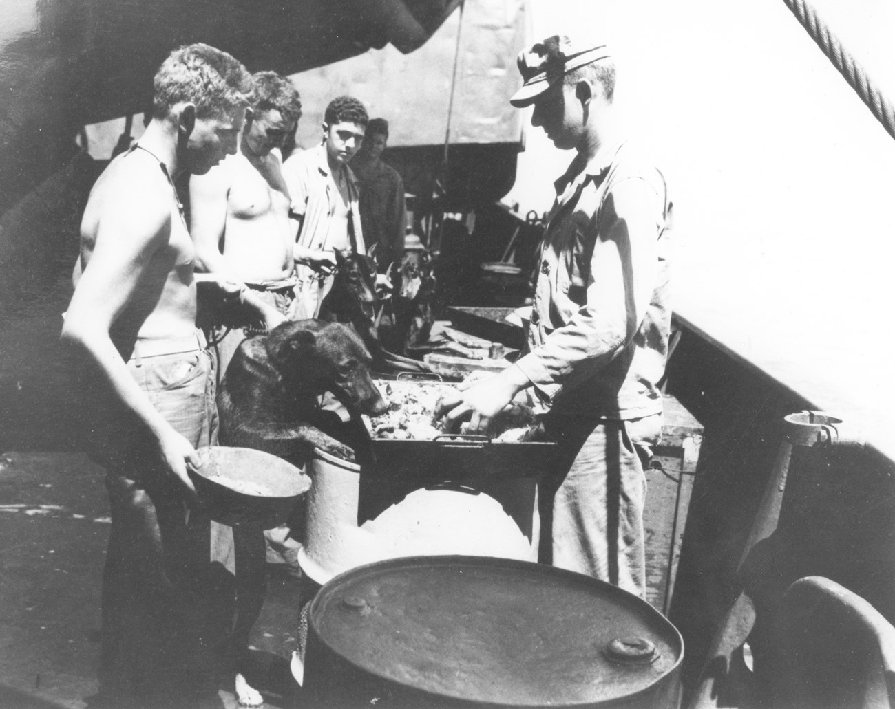 Meal time! War dogs and their handlers pick up their meal onboard a ship. Three shirtless male soldiers holding Doberman pinschers on leashes stand in line for a meal. One of the dogs is standing on its back legs so it can sniff the food being handed out.