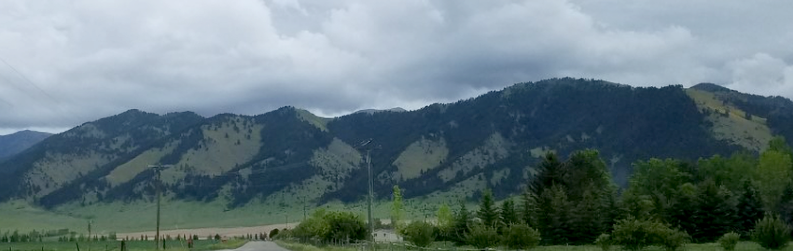 Blue mountains with green forest in foreground