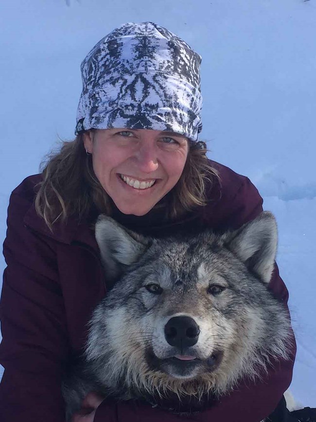 A woman with a (tranquilized) wolf.