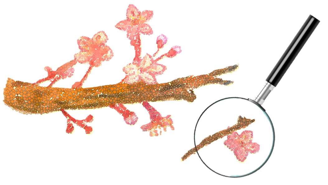 Broken-Branch-and-Magnifying-Glass_1 Illustration of a magnifying glass looking at a broken cherry blossom branch
