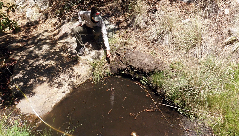 Bulrush Spring In the shadows of trees, a person is pointing at one side of a small, muddy pool in a desert drainage.