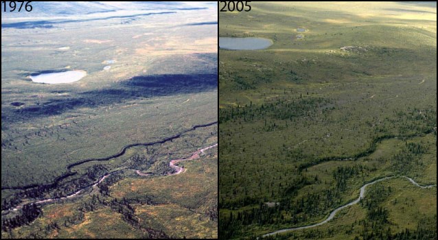 Two aerial photos side by side of the same landscape, taken in 1976 and 2005.
