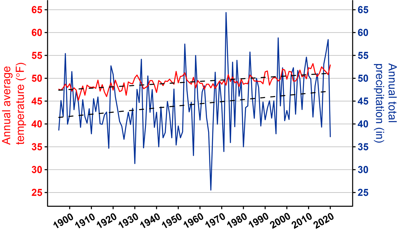 a line graph of temp and precipitation trends for CACO in 2020