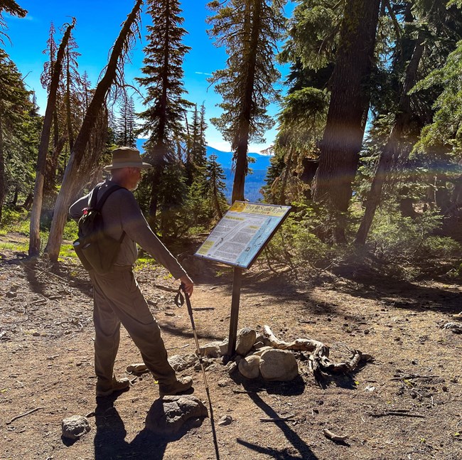 Hiker standing next to a wayside exhibit on a hiking trail