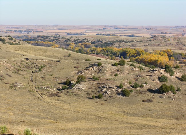 A sweeping view down a grassy hill and out onto an expansive open landscape.