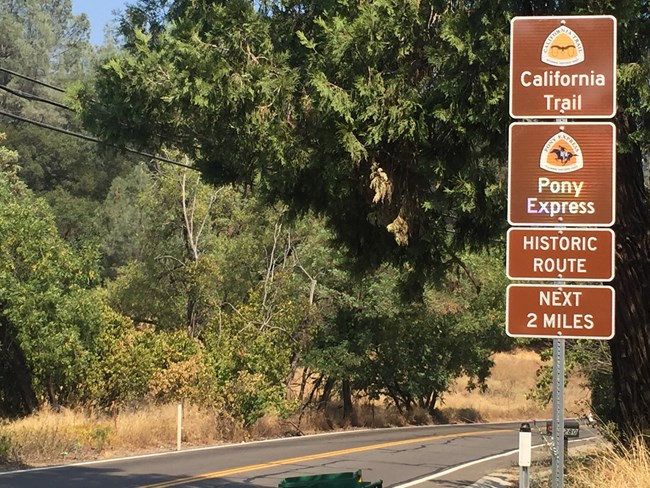 Brown trail signs on a post, with a road and tree behind it.