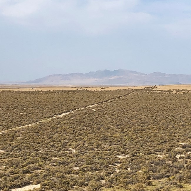 A view looking out over a desert landscape with a long dirt road cutting through it.
