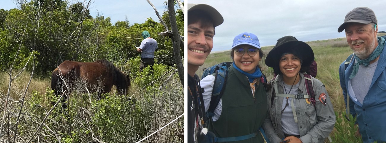 Vegetation monitoring at CALO Man with clipboard near a horse, four people smiling