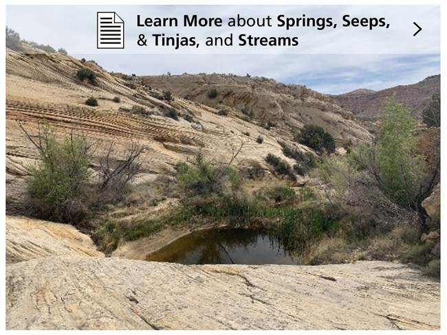 Click here to lean more! A small tinaja (pool of water in the rock) amongst rocky hills and scattered vegetation.