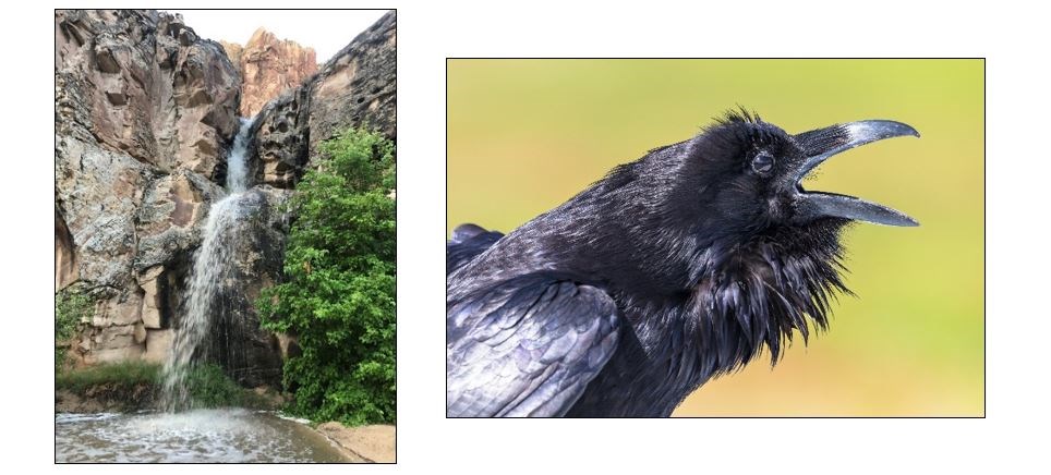 Capitol Reef Left: A medium-sized waterfall with a pool of water beneath. Right: Close-up photo of a raven with its beak open