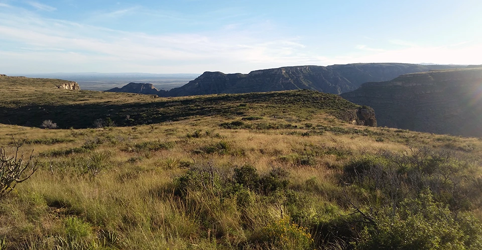 Carlsbad Caverns National Park landscape Desert grasses and shrubs on top of flat-topped mountains under wispy clouds.