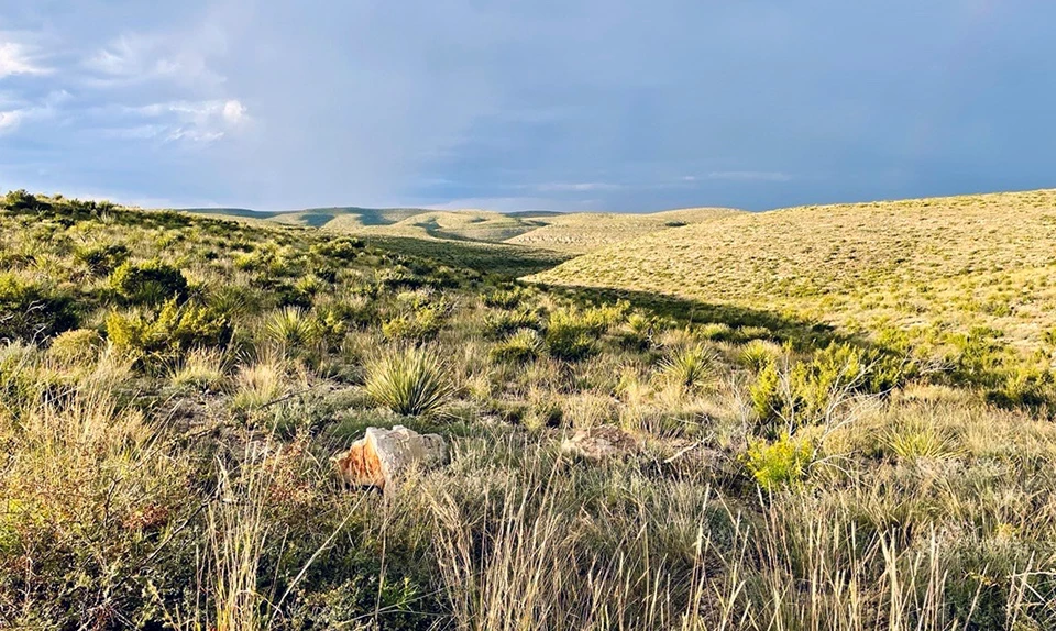 Carlsbad Caverns National Park Rolling hills covered in grasses and low scrubby shrubs in a desert with storm clouds in the distance.