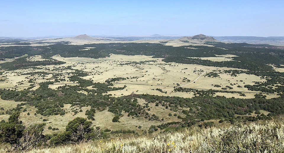 Capulin Volcano National Monument A view of a large valley of grasslands and dark green shrubs from a grass covered hill.