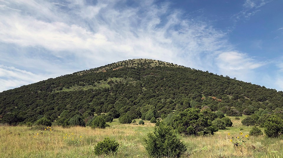 Capulin Volcano A volcano-shaped hill covered in dark green shrubs with grasslands below and wispy clouds above.