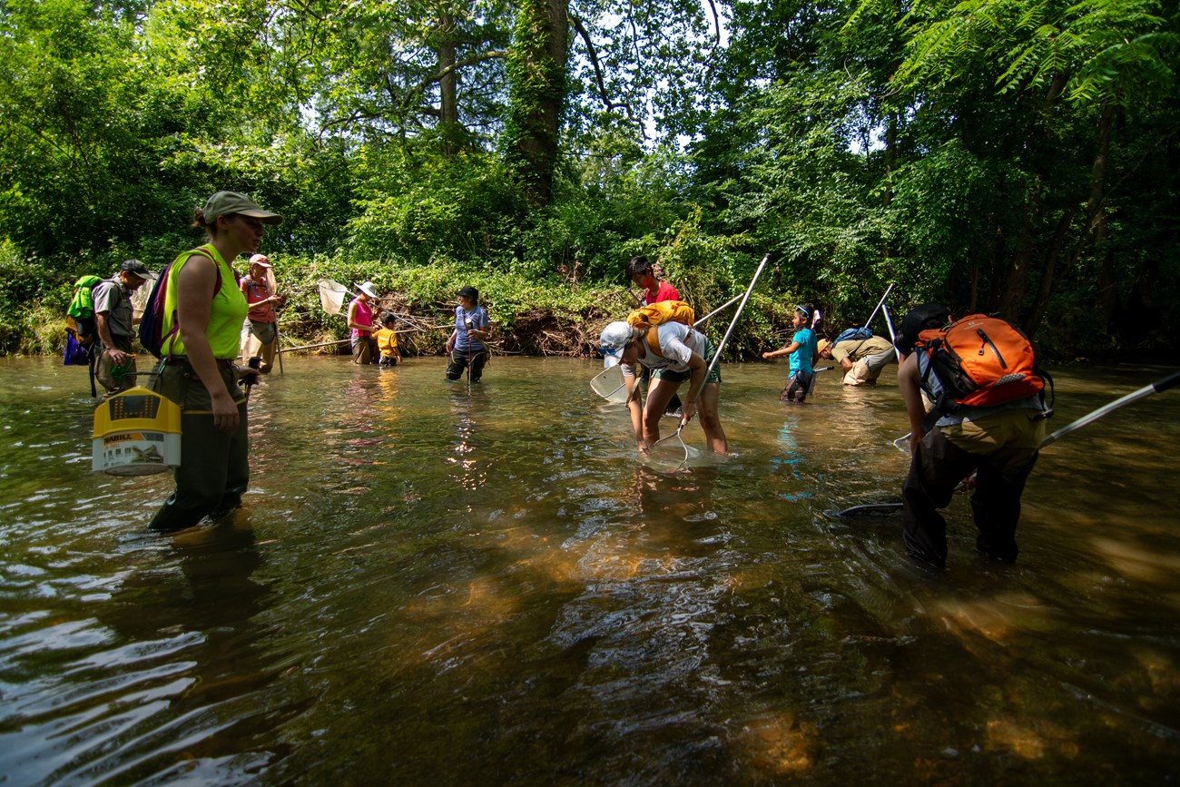 Crayfish Corps 2023 Ten people wearing rubber boots and carrying nets stand to their thighs in a creek