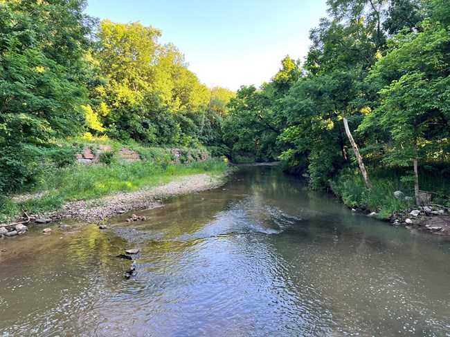A shallow river glides between an overgrown brick wall and full green trees.