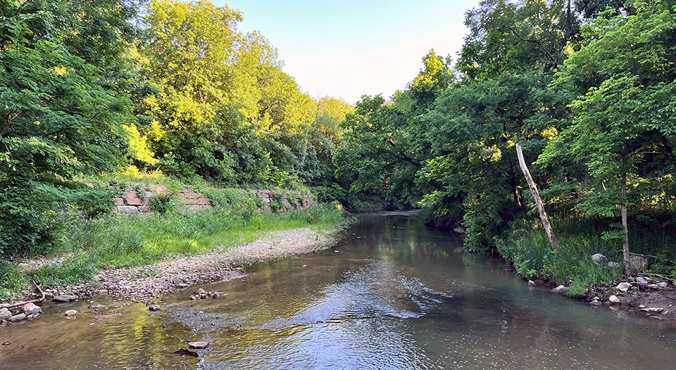 Chickasaw National Recreation Area A stream flowing through a forest and by an old rock wall.