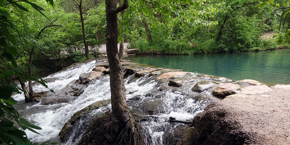 Waterfall at Chickasaw National Recreation Area Water cascading over a rocks in a stream lined by trees and shrubs.