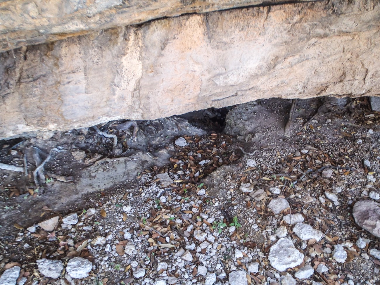 Beneath a rock overhang is bare ground with scattered dirt, gravel, and leaves. A depression in the ground is visible but there is no water.